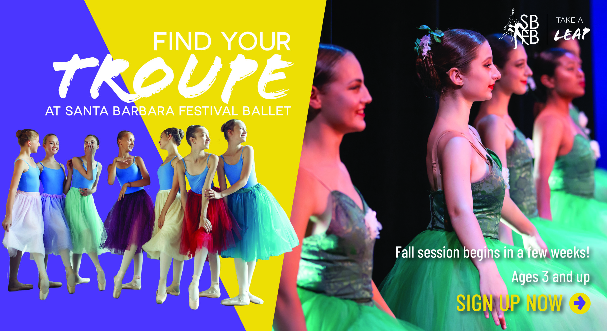 Santa Barbara Festival Ballet WitMark Group LLC